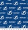 Sykel Enterprises NHL Team Cotton Fabric-Tampa Bay Lightning Tone on Tone Cotton Quilting Fabric